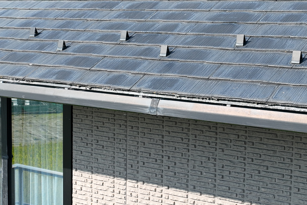 雨樋の欠けを確認